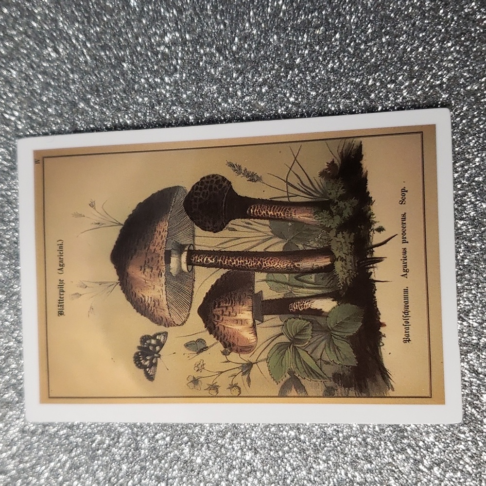 NATURE WATERPOOF Sticker mushroom